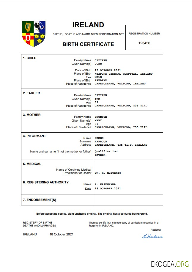 Modèle Word et PDF d'acte de naissance irlandais